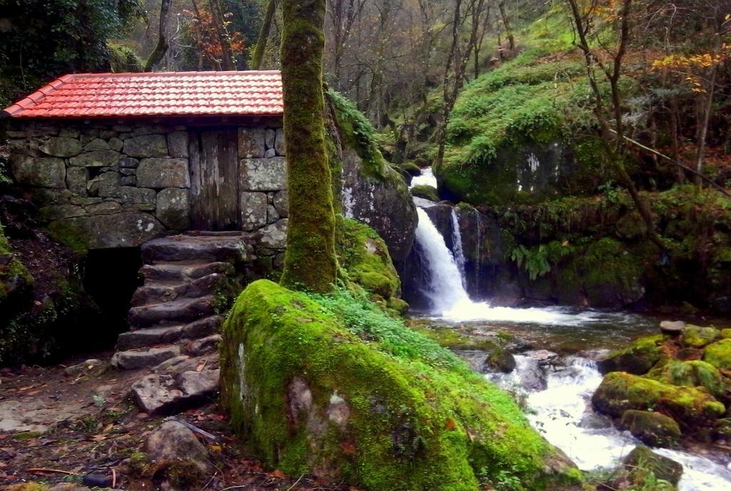 Douro Senses - Nature House Cinfães Extérieur photo