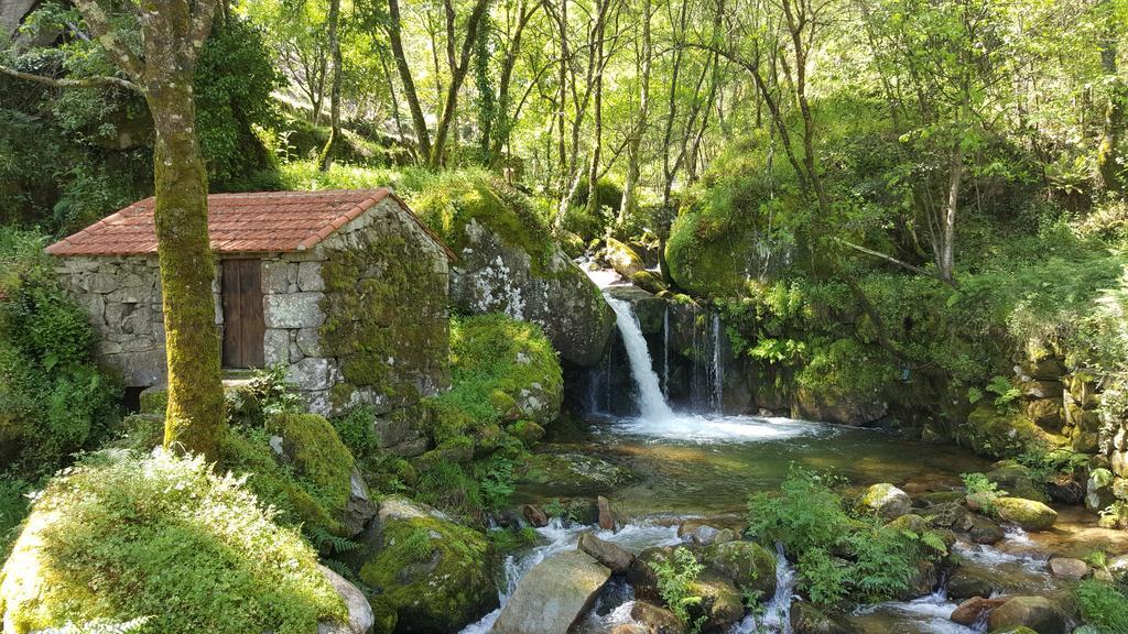 Douro Senses - Nature House Cinfães Extérieur photo
